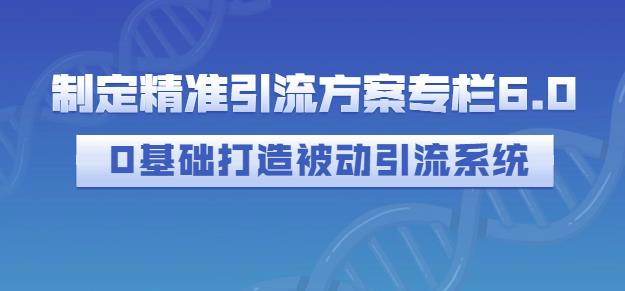 制定精准引流方案专栏6.0,0基础打造被动引流系统-恒创联盟资源网