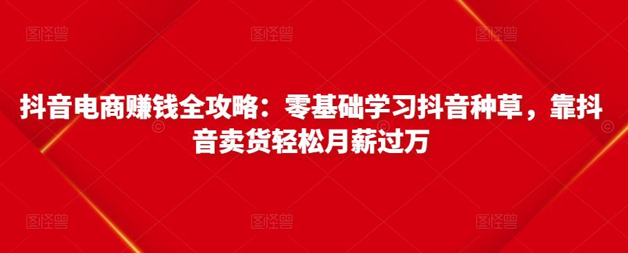 抖音电商赚钱全攻略：零基础学习抖音种草，靠抖音卖货轻松月薪过万-恒创联盟资源网