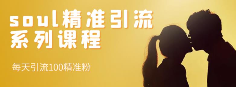 soul精准引流系列课程，每天引流100精准粉-恒创联盟资源网