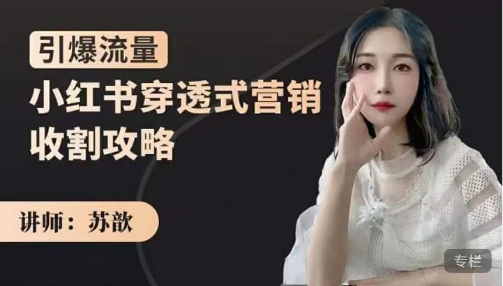 苏歆:小红书穿透式营销收割攻略,引爆流量,助你玩转小红书-恒创联盟资源网