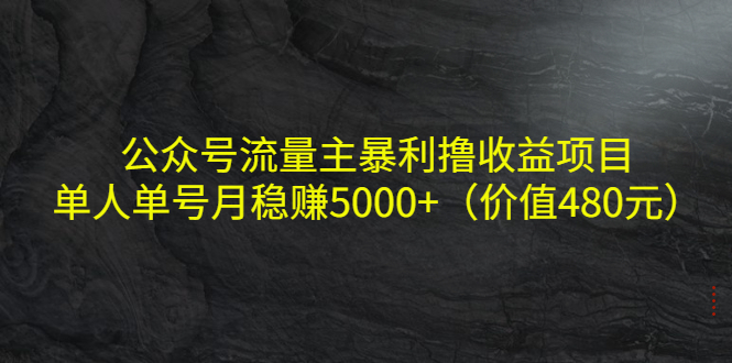 公众号流量主暴利撸收益项目，单人单号月稳赚5000+（价值480元）-恒创联盟资源网