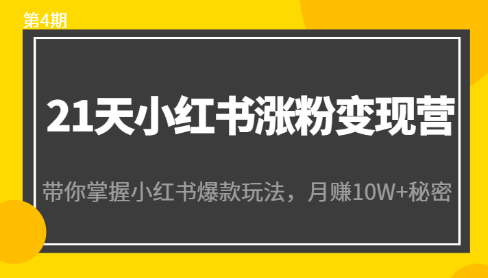 21天小红书涨粉变现营(第4期):带你掌握小红书爆款玩法,月赚10W+秘密-恒创联盟资源网