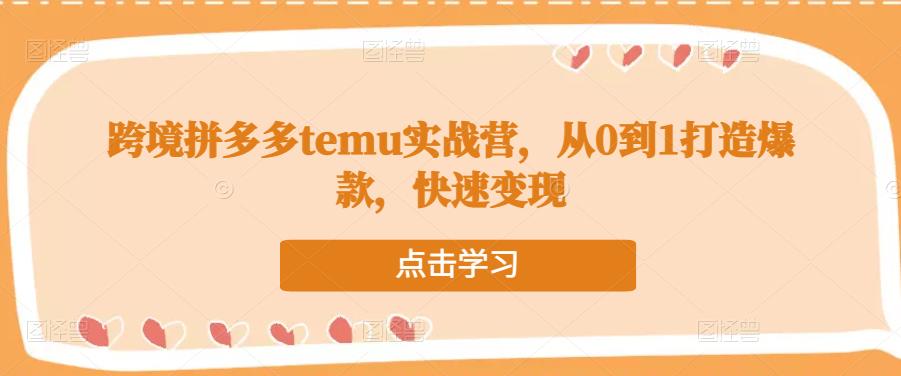 跨境拼多多temu实战营，从0到1打造爆款，快速变现-恒创联盟资源网