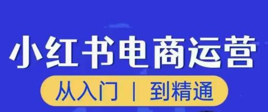 顽石小红书电商高阶运营课程，从入门到精通，玩法流程持续更新-恒创联盟资源网