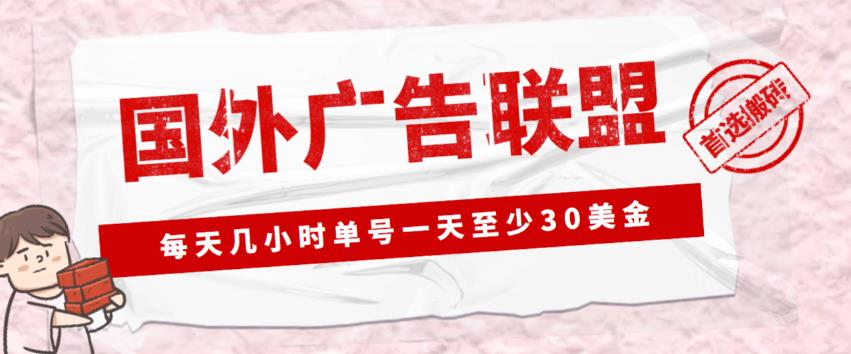 外面收费1980的最新国外LEAD广告联盟搬砖项目，单号一天至少30美金【详细玩法教程】-恒创联盟资源网