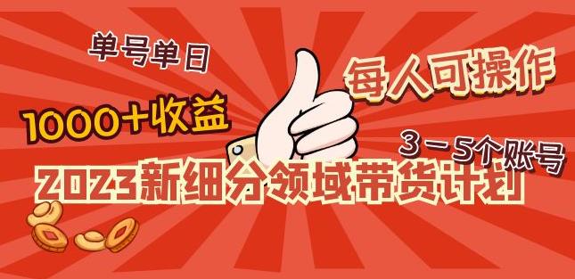 2023新细分领域带货计划：单号单日1000+收益不难，每人可操作3-5个账号-恒创联盟资源网