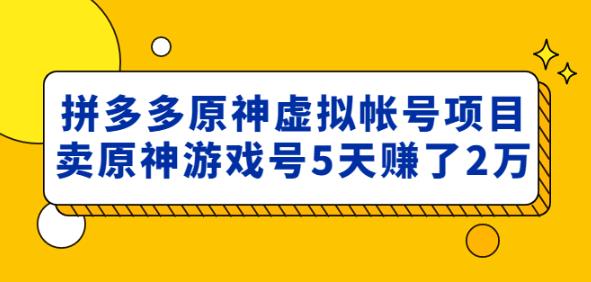 外面卖2980的拼多多原神虚拟帐号项目：卖原神游戏号5天赚了2万-恒创联盟资源网