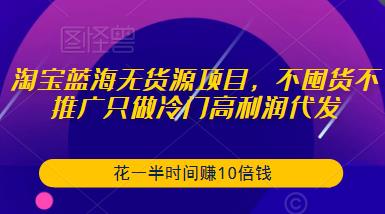 淘宝蓝海无货源项目，不囤货不推广只做冷门高利润代发，花一半时间赚10倍钱-恒创联盟资源网