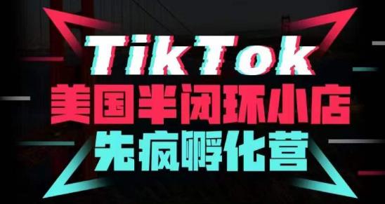疯人院·TikTok美国半闭环小店孵化营，抢占TikTok美国蓝海市场，开店、运营、带货、投流全实操-恒创联盟资源网