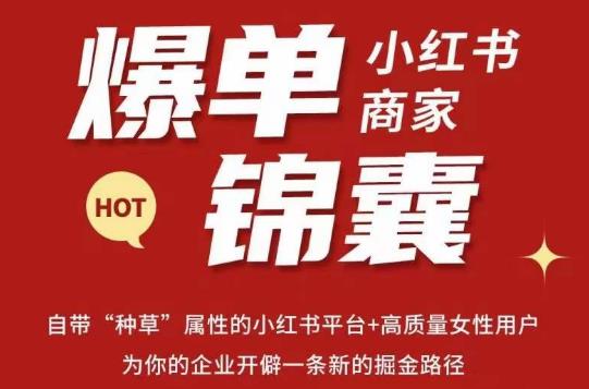 无畏·小红书商家爆单锦囊，掌握小红书各大规则，快速精准抢占行业和市场-恒创联盟资源网