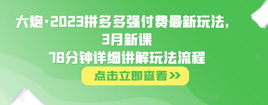 大炮·2023拼多多强付费最新玩法,3月新课78分钟详细讲解玩法流程-恒创联盟资源网