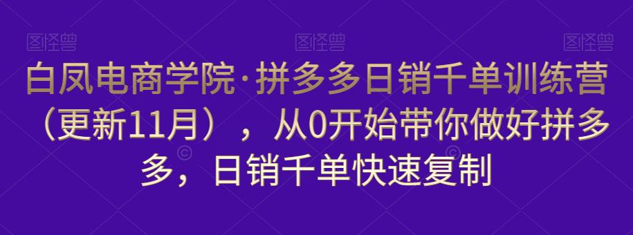 白凤电商学院·拼多多日销千单训练营,从0开始带你做好拼多多,日销千单快速复制(更新知2023年3月)-恒创联盟资源网
