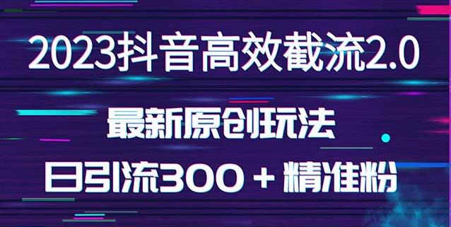日引300+创业粉,独家抖音高效截流2.0玩法(价值1280)-恒创联盟资源网