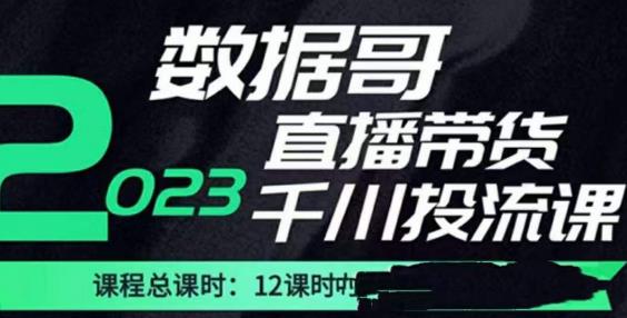 数据哥2023直播电商巨量千川付费投流实操课，快速掌握直播带货运营投放策略-恒创联盟资源网