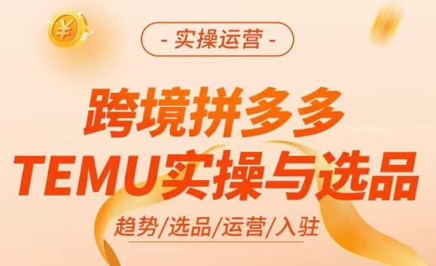 跨境拼多多TEMU实操与选品,掌握平台运营方法技巧,选品避坑12条标准,爆款的底层思路等-恒创联盟资源网
