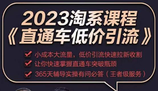 2023直通车低价引流玩法课程,小成本大流量,低价引流快速拉新收割,让你快速掌握直通车突破瓶颈-恒创联盟资源网
