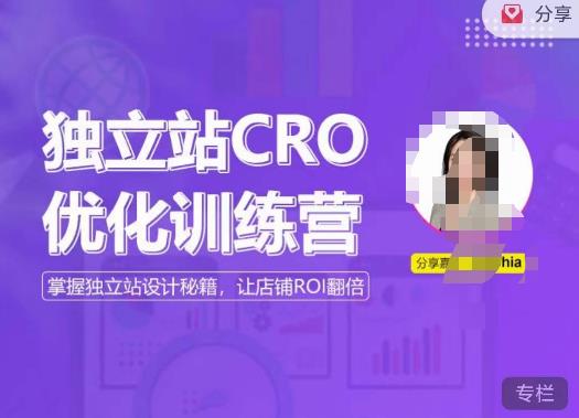 独立站CRO优化训练营,掌握独立站设计秘籍,打造高转化的独立站,让店铺ROI翻倍-恒创联盟资源网