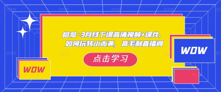 哈哥·3月线下实操课高清视频+课件，如何玩转小而美，高毛利直播间-恒创联盟资源网