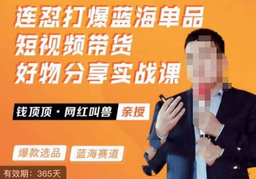 网红叫兽·连怼打爆蓝海单品，短视频带货好物分享实战课-恒创联盟资源网