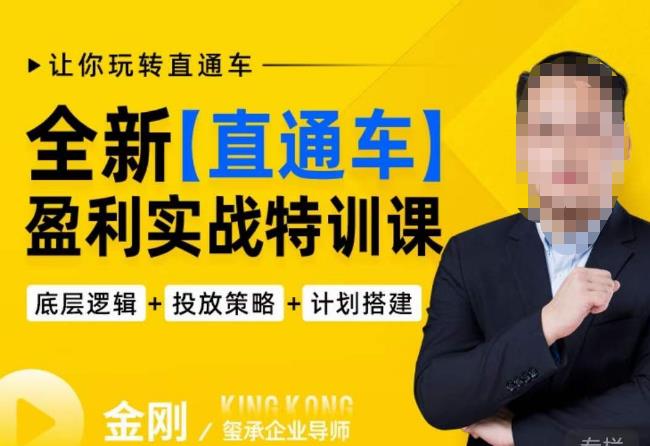 玺承·全新直通车盈利实战特训课,从底层逻辑详细拆解,从底层,策略到搭建,让你玩转直通车-恒创联盟资源网