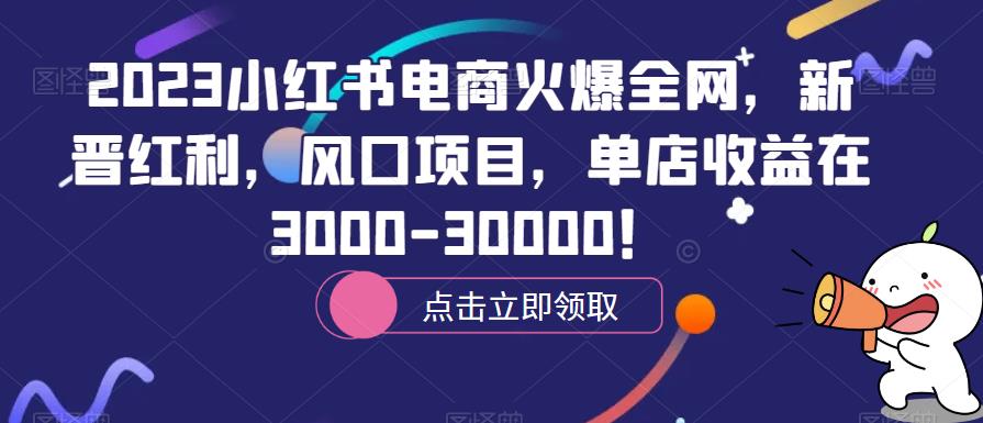 2023小红书电商火爆全网，新晋红利，风口项目，单店收益在3000-30000！-恒创联盟资源网