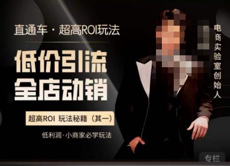 电商冰可乐·直通车·《低价引流·全店动销》,直通车·超高ROI玩法(其一)全店动销必学玩法-恒创联盟资源网