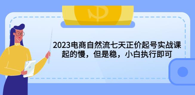 2023电商自然流七天正价起号实战课:起的慢,但是稳,小白执行即可!-恒创联盟资源网