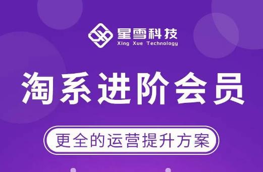 星雪·淘系进阶课程，快速提升突破技能流量瓶颈必备（更新2023年5月）-恒创联盟资源网