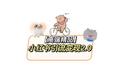 小红书最新引流变现教程，全网最新最详细的视频教程以及素材-恒创联盟资源网