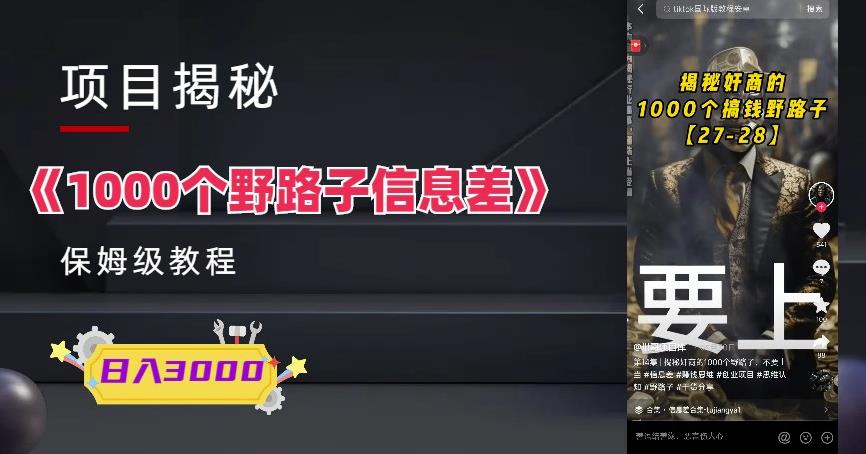 1000个野路子信息差保姆式教程-单日变现3000+的玩法解密-恒创联盟资源网
