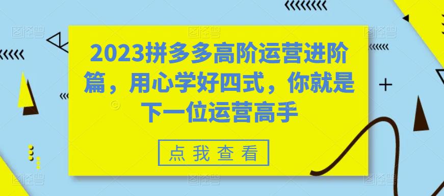 2023拼多多高阶运营进阶篇，用心学好四式，你就是下一位运营高手-恒创联盟资源网