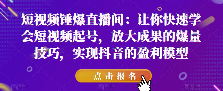 短视频锤爆直播间:让你快速学会短视频起号,放大成果的爆量技巧,实现抖音的盈利模型-恒创联盟资源网
