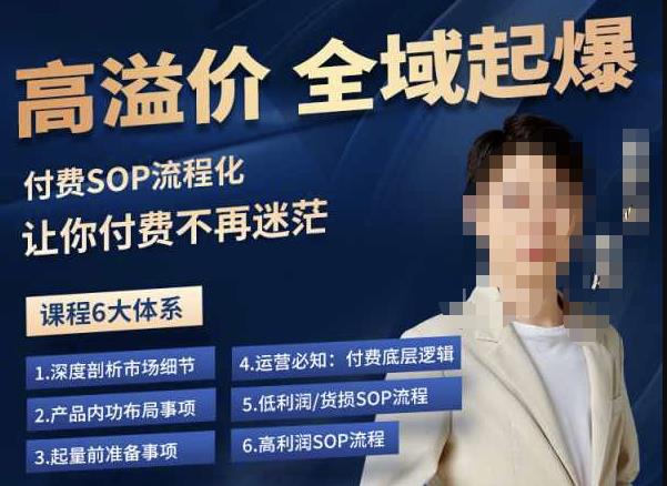 逸风-拼多多高溢价全域起爆，6大课程体系，付费玩法全套实操-恒创联盟资源网