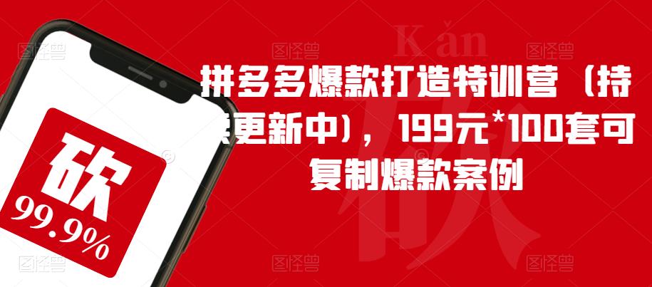 拼多多爆款打造特训营(持续更新中),199元*100套可复制爆款案例-恒创联盟资源网