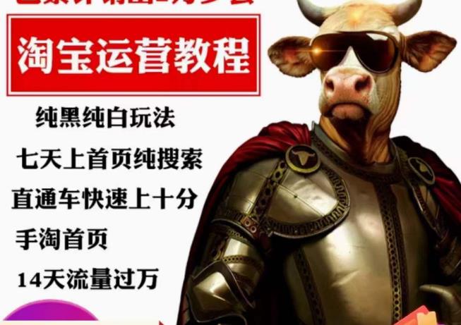 猫老师·淘系算法逆向解密，​纯黑纯白玩法，七天上首页纯搜索，手淘首页14天流量过万-恒创联盟资源网