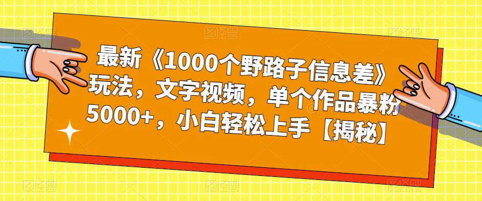 最新《1000个野路子信息差》玩法，文字视频，单个作品暴粉5000+，小白轻松上手【揭秘】-恒创联盟资源网