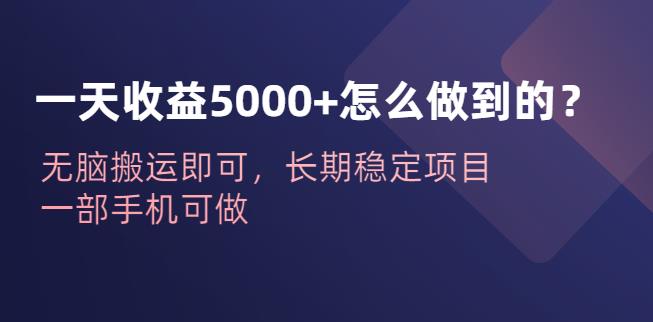 一天收益5000+怎么做到的？无脑搬运即可，长期稳定项目，一部手机可做【揭秘】-恒创联盟资源网
