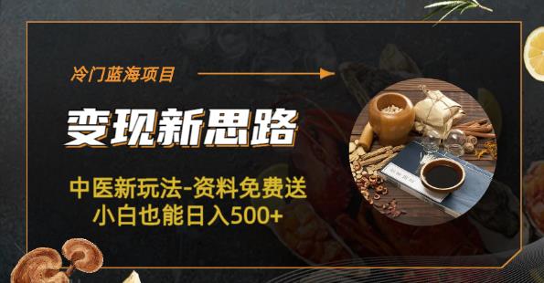 冷门蓝海项目-中医新玩法-资料免费送小白也能日入500+【揭秘】-恒创联盟资源网