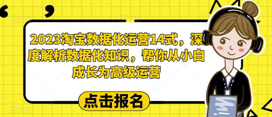 2023淘宝数据化运营14式,深度解析数据化知识,帮你从小白成长为高级运营-恒创联盟资源网