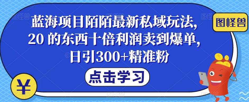 蓝海项目陌陌最新私域玩法,20 的东西十倍利润卖到爆单,日引300+精准粉【揭秘】-恒创联盟资源网