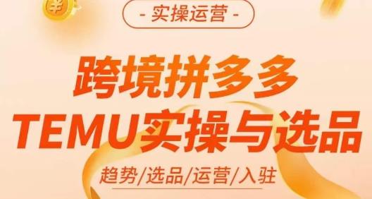 伍跃·跨境拼多多TEMU实操与选品，​趋势/选品/运营/入住（27节完整）-恒创联盟资源网