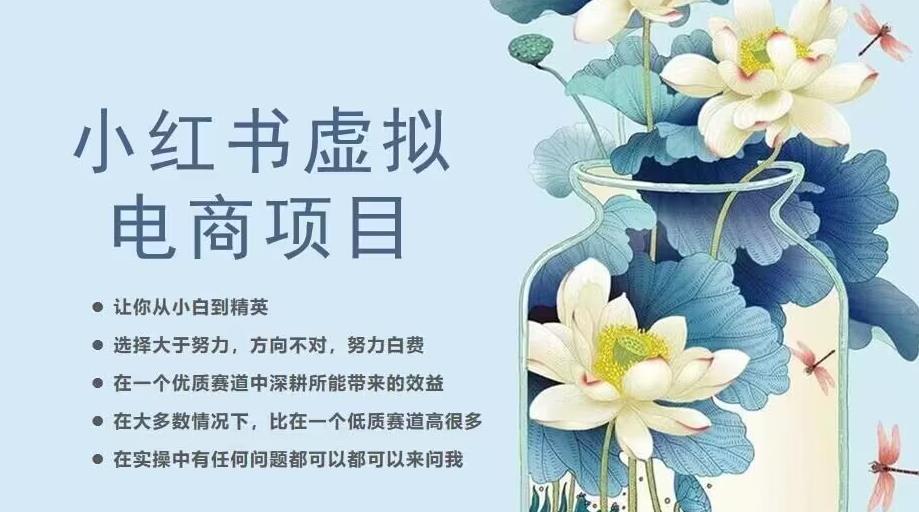 小红书虚拟电商从0到1,让你从小白到精英(20节实操课程)-恒创联盟资源网
