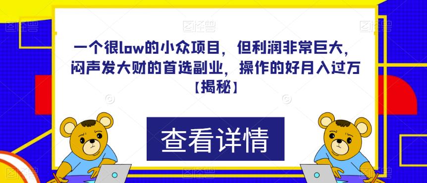 一个很low的小众项目，但利润非常巨大，闷声发大财的首选副业，操作的好月入过万【揭秘】-恒创联盟资源网