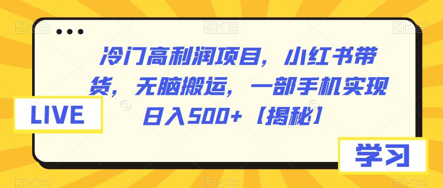 冷门高利润项目,小红书带货,无脑搬运,一部手机实现日入500+【揭秘】-恒创联盟资源网