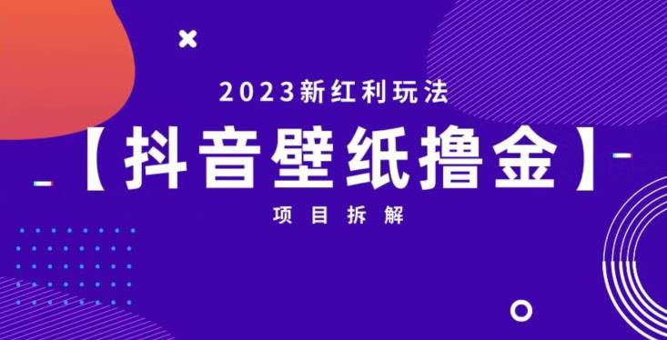抖音壁纸小程序创作者撸金项目，2023新红利玩法【项目拆解】-恒创联盟资源网