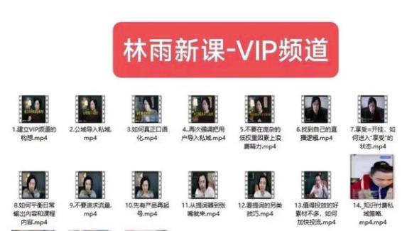 林雨新课VIP频道,玩赚私域/朋友圈/社群-恒创联盟资源网