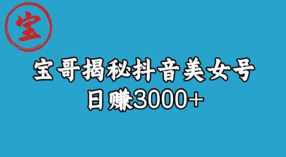 宝哥揭秘抖音美女号玩法，日赚3000+【揭秘】-恒创联盟资源网