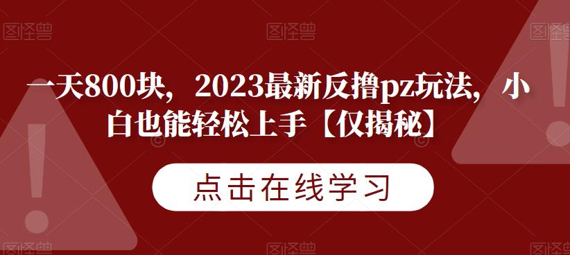 一天800块，2023最新反撸pz玩法，小白也能轻松上手【仅揭秘】-恒创联盟资源网