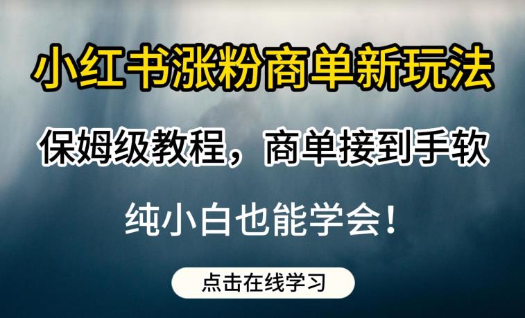 小红书涨粉商单新玩法，保姆级教程，商单接到手软，纯小白也能学会【揭秘】-恒创联盟资源网
