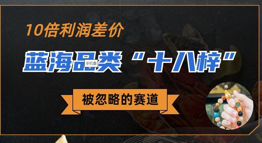 被忽略的蓝海品类“十八籽”，10倍的利润差价，同行一天几十单【揭秘】-恒创联盟资源网